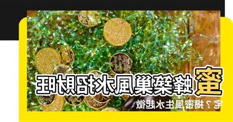 築巢 風水